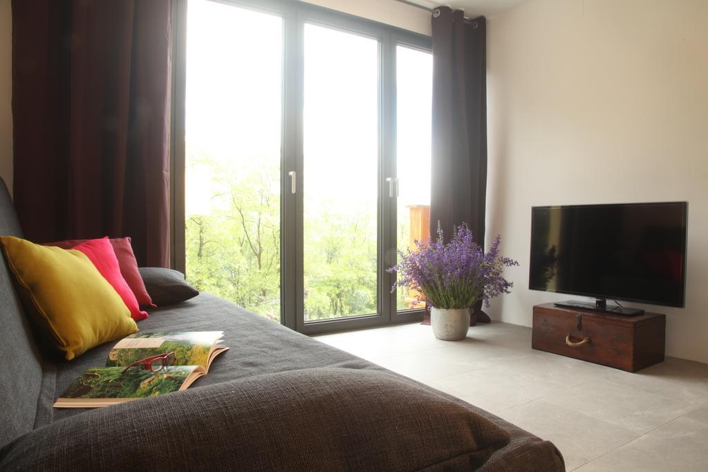 Apartments Lom モスト ナ ソシ 部屋 写真